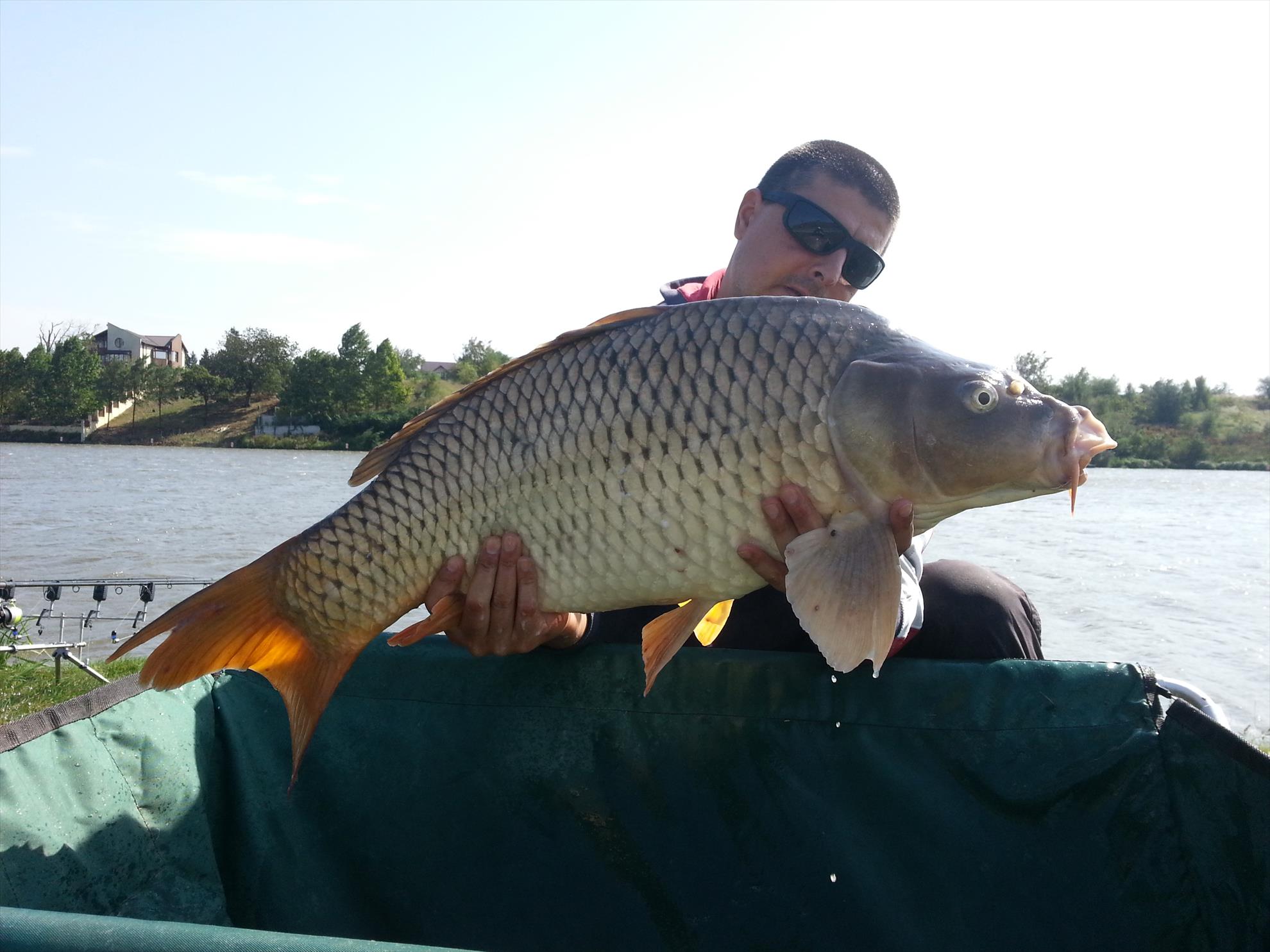 Moara Vlasiei 2 5 septembrie 2014 - 20140905153243.jpg